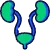 Urology Care